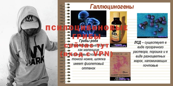 MDMA Premium VHQ Краснослободск